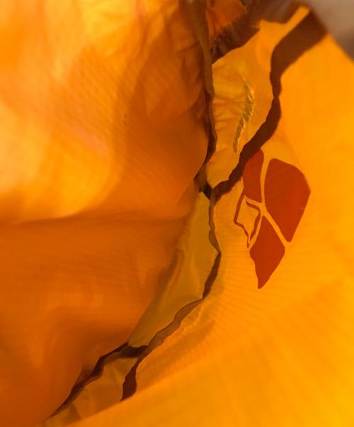 mont-bell（モンベル）mont-bell (モンベル) cha cha pack 35 ブラウンの古着・服飾アイテム