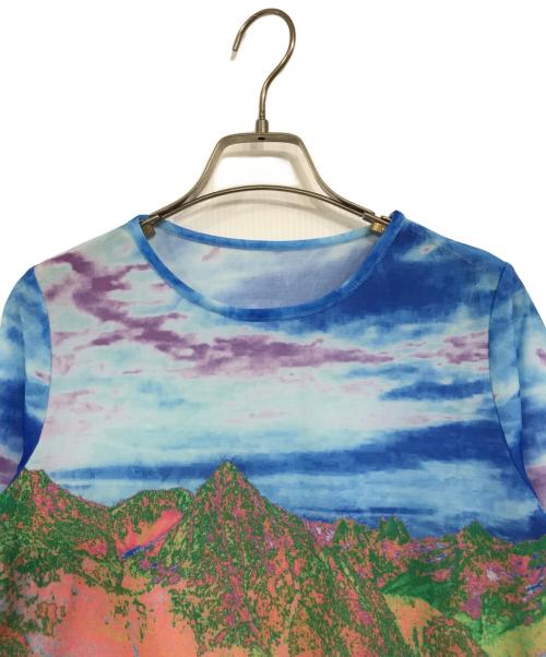 MAISON SPECIAL（メゾンスペシャル）MAISON SPECIAL (メゾンスペシャル) ランドスケーププリントトップス ブルー サイズ:FREEの古着・服飾アイテム