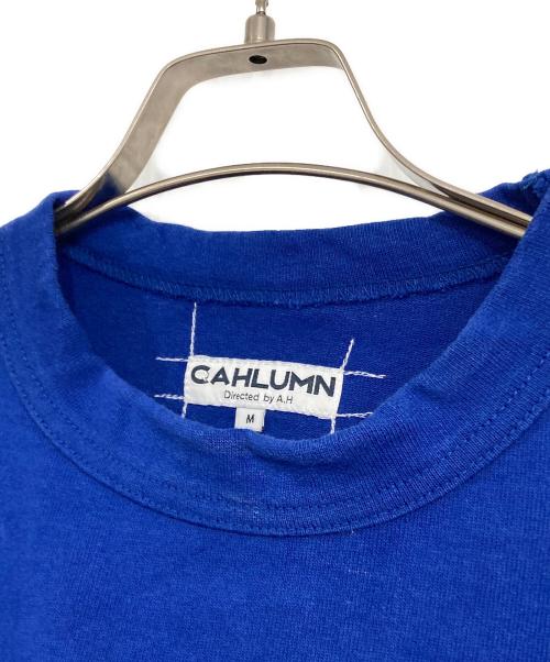 CAHLUMN（カウラム）CAHLUMN (カウラム) ロングスリーブカットソー ブルー サイズ:Mの古着・服飾アイテム