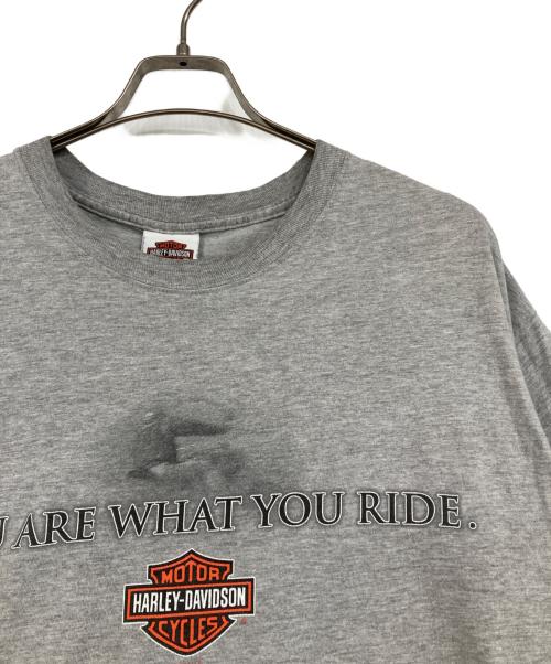 HARLEY-DAVIDSON（ハーレーダビッドソン）HARLEY-DAVIDSON (ハーレーダビッドソン) プリントTシャツ グレー サイズ:Lの古着・服飾アイテム