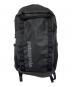 Patagonia（パタゴニア）の古着「BLACK HOLE PACK 32L」｜ブラック