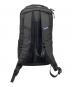Patagonia (パタゴニア) BLACK HOLE PACK 32L ブラック：15000円
