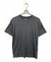 HERENESS（ヒアネス）の古着「SMOOTH WOOL T-SHIRT 2/スムースウールTシャツ」｜グレー