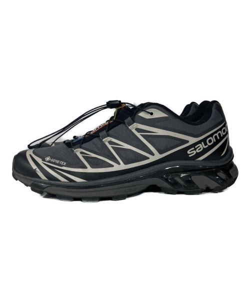 SALOMON（サロモン）SALOMON (サロモン) XT-6 GTX グレー サイズ:27.0の古着・服飾アイテム