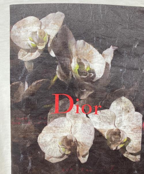 Dior（ディオール）DIOR (ディオール) Francois Bard プリントTシャツ ホワイト サイズ:XSの古着・服飾アイテム