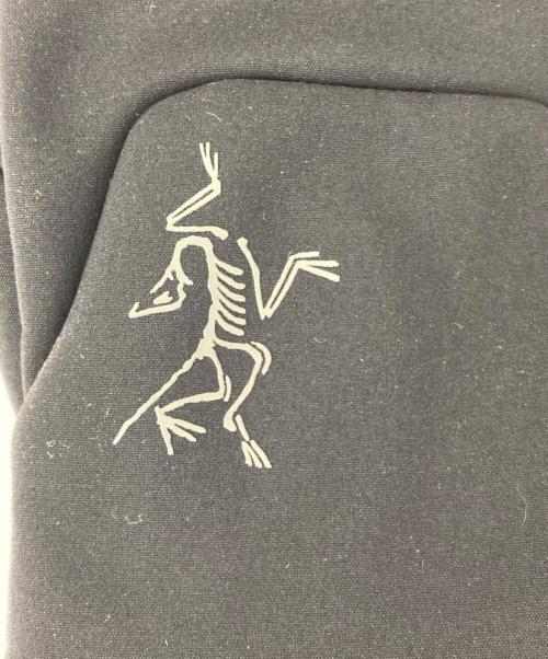 ARC'TERYX（アークテリクス）ARC'TERYX (アークテリクス) GORE-TEXグローブ ブラック サイズ:19.7－20.6㎝の古着・服飾アイテム