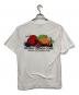 stussy (ステューシー) Tシャツ ホワイト サイズ:M：5000円