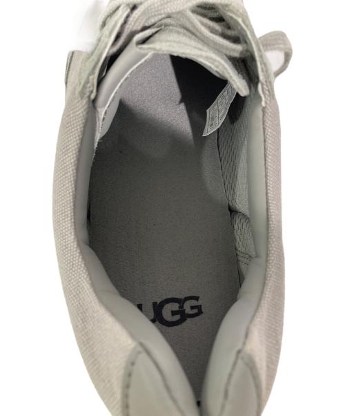 UGG（アグ）UGG (アグ) South Bay Sneaker Low Canvas グレー サイズ:USA 11の古着・服飾アイテム