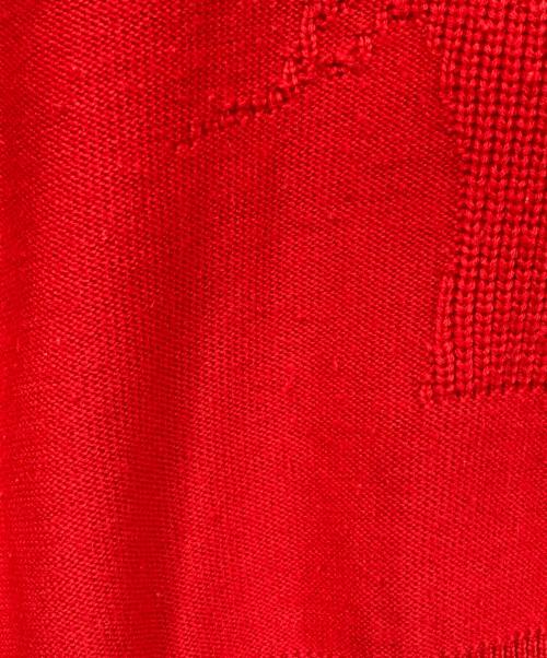 Christian Dior Sports（クリスチャン ディオールスポーツ）Christian Dior Sports (クリスチャン ディオールスポーツ) ロゴニット レッド サイズ:Lの古着・服飾アイテム
