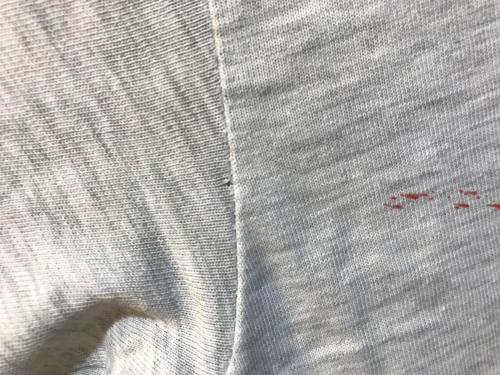 SANTAMONICA AIRLINES（サンタモニカエアライン）SANTAMONICA AIRLINES (サンタモニカエアライン) ヴィンテージプリントTシャツ オールドスケートTシャツ グレー サイズ:Mの古着・服飾アイテム