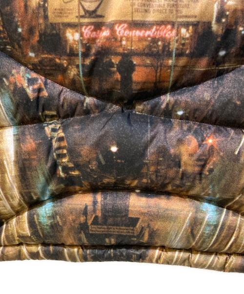 THE NORTH FACE（ザ ノース フェイス）THE NORTH FACE (ザ ノース フェイス) SUPREME (シュプリーム) 800-FILL HALFZIP HOODED PULLOVER ブラック×ブラウン サイズ:Mの古着・服飾アイテム