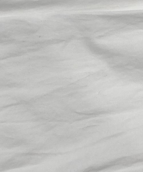 Spick and Span（スピック＆スパン）Spick and Span (スピックアンドスパン) 50コットンオーバーシャツ ホワイト サイズ:Freeの古着・服飾アイテム