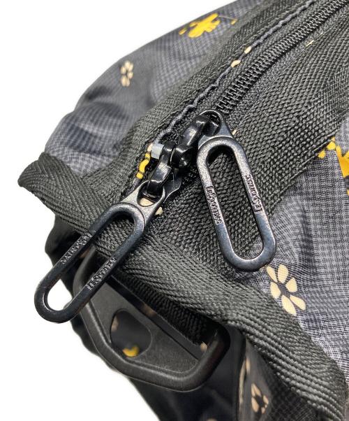 LeSportsac（レスポートサック）LeSportsac (レスポートサック) PEANUTS (ピーナッツ) 総柄ハンドバッグ ブラックの古着・服飾アイテム