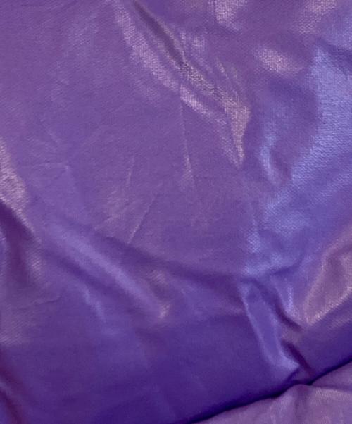 DIESEL（ディーゼル）DIESEL (ディーゼル) W-DAY JACKET パープル サイズ:Lの古着・服飾アイテム