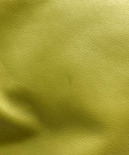 BOTTEGA VENETA（ボッテガベネタ）BOTTEGA VENETA (ボッテガベネタ) ダブルノット ハンドバッグ イエロー×グリーンの古着・服飾アイテム