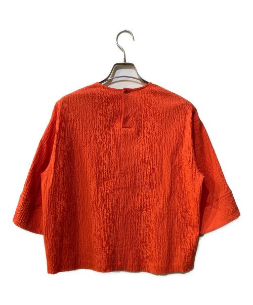 DRESSTERIOR（ドレステリア）DRESSTERIOR (ドレステリア) クルーネックTブラウス レッド サイズ:38の古着・服飾アイテム