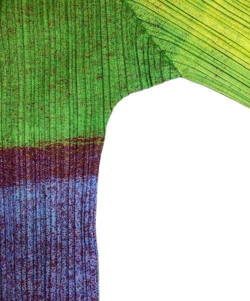 PLEATS PLEASE（プリーツプリーズ）PLEATS PLEASE (プリーツプリーズ) 総柄プリーツカットソー マルチカラー サイズ:3の古着・服飾アイテム