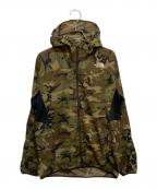 THE NORTH FACEザ ノース フェイス）の古着「Novelty Swallowtail Vent Hoodie」｜グリーン