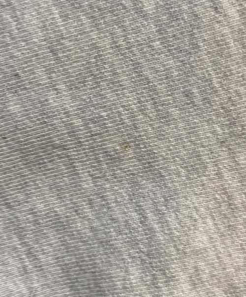 Champion（チャンピオン）Champion (チャンピオン) ラバープリントリバースウィーブスウェット グレー サイズ:Lの古着・服飾アイテム