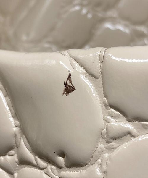 MIU MIU（ミュウミュウ）MIU MIU (ミュウミュウ) エナメルチェーンバッグ ベージュ サイズ:サイズ詳細参照の古着・服飾アイテム