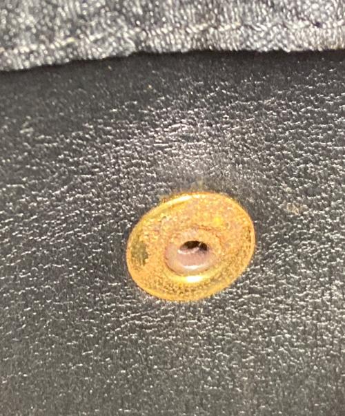 Christian Dior（クリスチャン ディオール）Christian Dior (クリスチャン ディオール) トロッタ－ チェーン ショルダー バッグ ブラック サイズ:サイズ詳細参照の古着・服飾アイテム