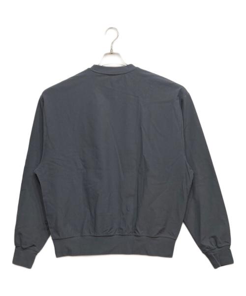 DAIWA PIER39（ダイワ ピア39）DAIWA PIER39 (ダイワ ピア39) TECH FLEX JERSEY CREW グレー サイズ:Lの古着・服飾アイテム