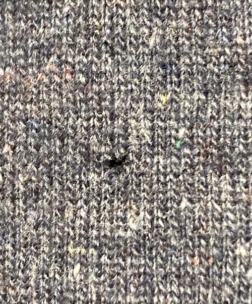 COMME des GARCONS HOMME（コムデギャルソン オム）COMME des GARCONS HOMME (コムデギャルソン オム) ニット グレー サイズ:表記無しの古着・服飾アイテム