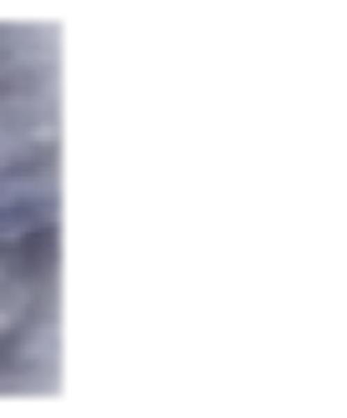 HeRIN.CYE（ヘリンドットサイ）HeRIN.CYE (ヘリンドットサイ) H.NORA manywaybubblydress 5 サイズ:FREEの古着・服飾アイテム