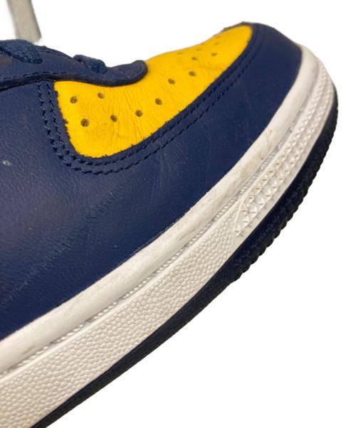 NIKE（ナイキ）NIKE (ナイキ) Terminator Low ブルー×イエロー サイズ:28㎝の古着・服飾アイテム