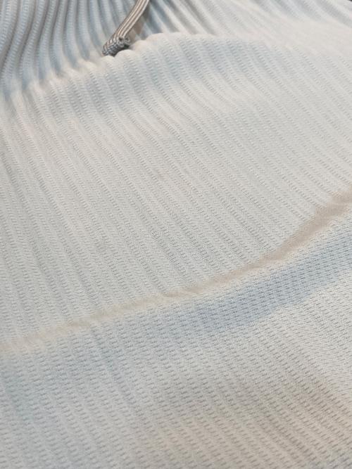 HOMME PLISSE ISSEY MIYAKE（オム プリッセ イッセイ ミヤケ）HOMME PLISSE ISSEY MIYAKE (オム プリッセ イッセイ ミヤケ) プリーツパンツ グレー サイズ:2の古着・服飾アイテム