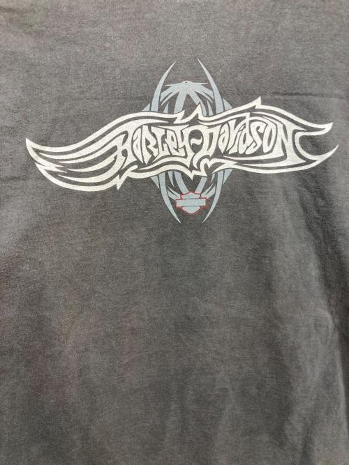 HARLEY-DAVIDSON（ハーレーダビッドソン）HARLEY-DAVIDSON (ハーレーダビッドソン) 90s カットソー スパイダーウェブ グレー サイズ:XLの古着・服飾アイテム