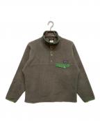 Patagoniaパタゴニア）の古着「シンチラ スナップT」｜グレー