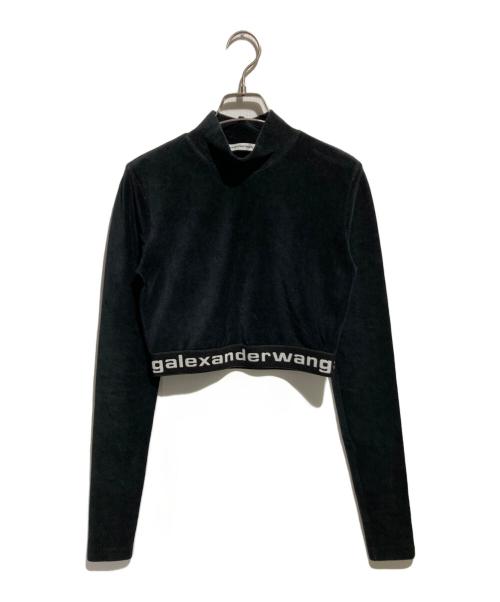 ALEXANDER WANG（アレキサンダー・ワン）ALEXANDER WANG (アレキサンダーワン) ベロアロゴカットソー ブラック サイズ:XSの古着・服飾アイテム