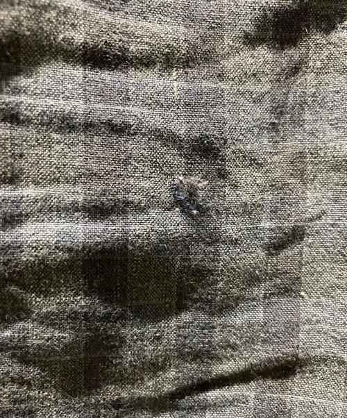 Acne studios（アクネ ストゥディオス）Acne studios (アクネ ストゥディオス) リネン パンツ BOSTON GW CH P グレー サイズ:SIZE 48の古着・服飾アイテム