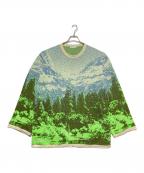 wataru tominagaワタル トミナガ）の古着「landscape jaquard knit ウール混ニット」｜ベージュ×グリーン