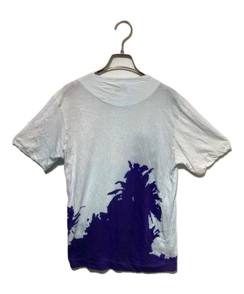 DRIES VAN NOTEN（ドリスヴァンノッテン）DRIES VAN NOTEN (ドリスヴァンノッテン) LEN LYE (レン・ライ) プリントTシャツ ブルー サイズ:Sの古着・服飾アイテム