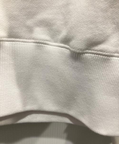 GDC（ジーディーシー）GDC (ジーディーシー) RIP SLYME (リップスライム) STAR FOODIE ホワイト サイズ:Mの古着・服飾アイテム