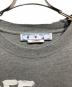 OFFWHITE (オフホワイト) Paint Script Over Skate S/S Tee グレー サイズ:L：13000円