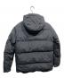 stussy (ステューシー) GORE Windstopper Polar Down Jacket ブラック サイズ:M：13000円