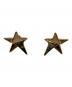 Salvatore Ferragamo（サルヴァトーレ フェラガモ）の古着「スターモチーフピアス」｜ゴールド