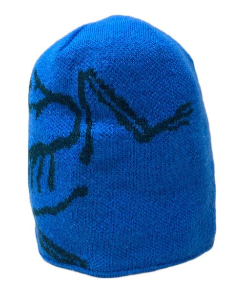 ARC'TERYX（アークテリクス）ARC'TERYX (アークテリクス) Bird Head Toque ブルーの古着・服飾アイテム