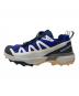 SALOMON (サロモン) X ULTRA 360 EDGE GTX ブルー サイズ:27cm 未使用品：12000円