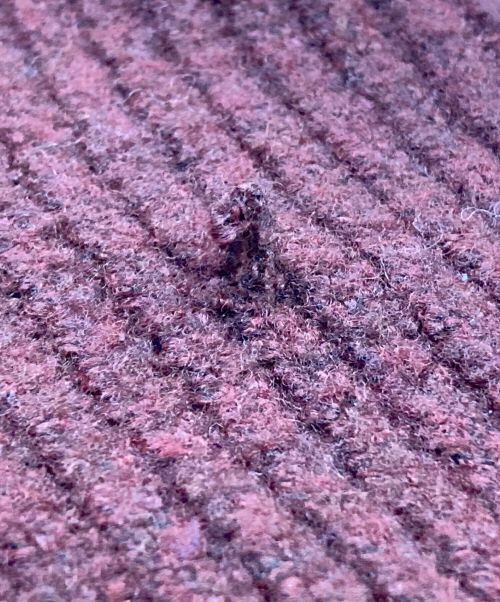 MICHIXSLY（ミチカケルスライ）MICHIXSLY (MICHIXSLY) MICHIXSLY OFF SHOULDER 2P ブラウン サイズ:FREEの古着・服飾アイテム