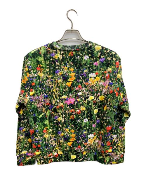 Desigual（デシグアル）Desigual (デシグアル) スウェット グリーン サイズ:Mの古着・服飾アイテム