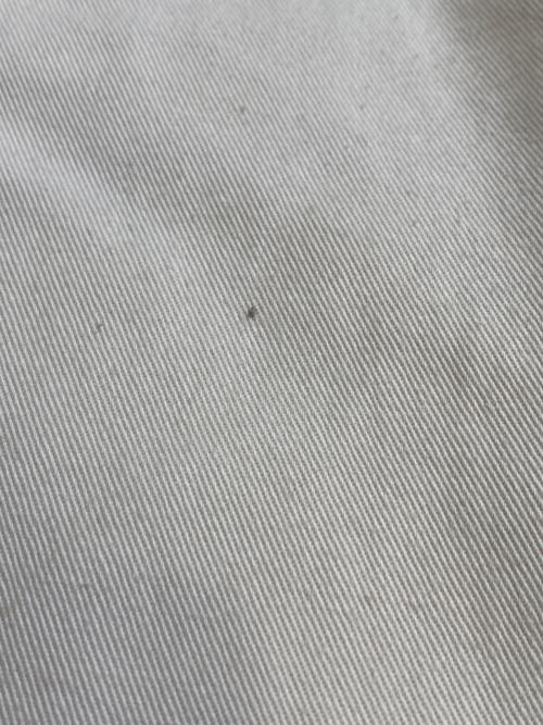 HARVEST（ハーヴェスト）HARVEST (ハーヴェスト) チノクロスサーカスパンツ ベージュ サイズ:Ｓの古着・服飾アイテム