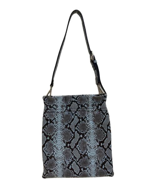 GIANNI CHIARINI（ジャンニ キアリーニ）GIANNI CHIARINI (ジャンニ キアリーニ) ショルダーバッグ ブルーの古着・服飾アイテム