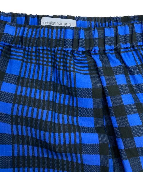 christian wijnants（クリスチャン ワイナンツ）christian wijnants (クリスチャン ワイナンツ) シルクスカート ブルー サイズ:36の古着・服飾アイテム