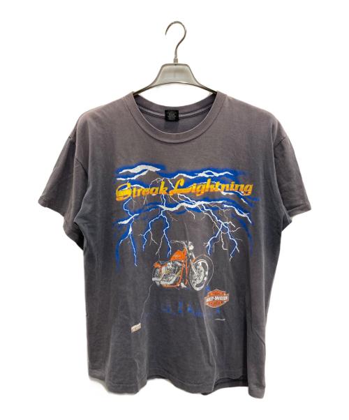 HARLEY-DAVIDSON（ハーレーダビッドソン）HARLEY-DAVIDSON (ハーレーダビッドソン) プリントTシャツ ブラック サイズ:Lの古着・服飾アイテム