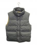 THE NORTH FACEザ ノース フェイス）の古着「ダウンベスト」｜グレー