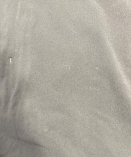 MAMMUT（マムート）MAMMUT (マムート) Schoeller Advanced Pants グレー サイズ:Mの古着・服飾アイテム